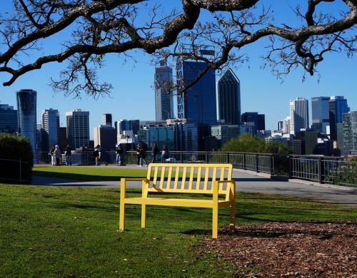A yellow bench in Kings Park overlooking the Perth skyline in the background