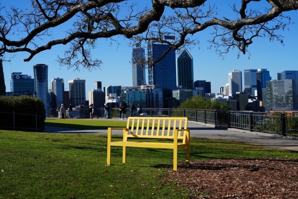 A yellow bench in Kings Park overlooking the Perth skyline in the background